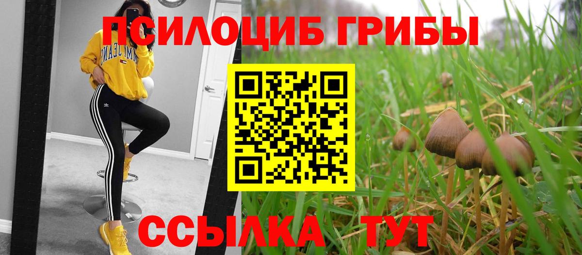 Комсомольск-на-Амуре  Псилоцибиновые грибы прущие грибы  Вход с VPN 