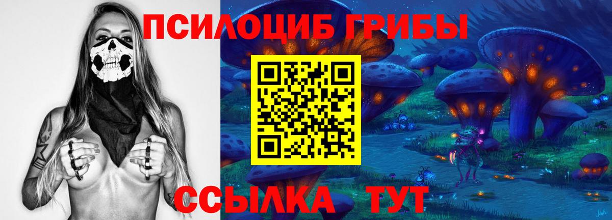 Галлюциногенные грибы прущие грибы Комсомольск-на-Амуре